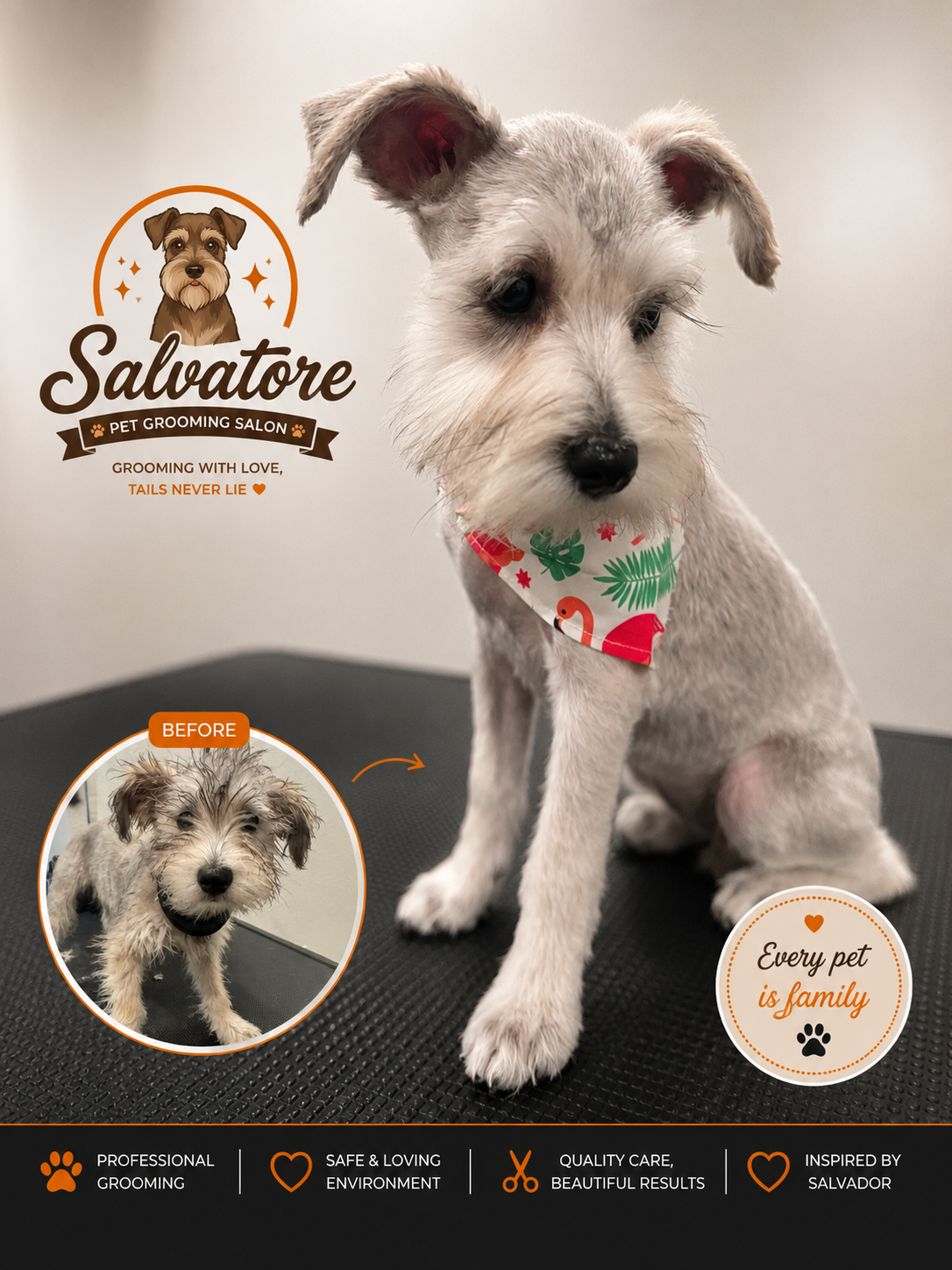 Fresh grooming transformation at Salvatore Pet Grooming Salon