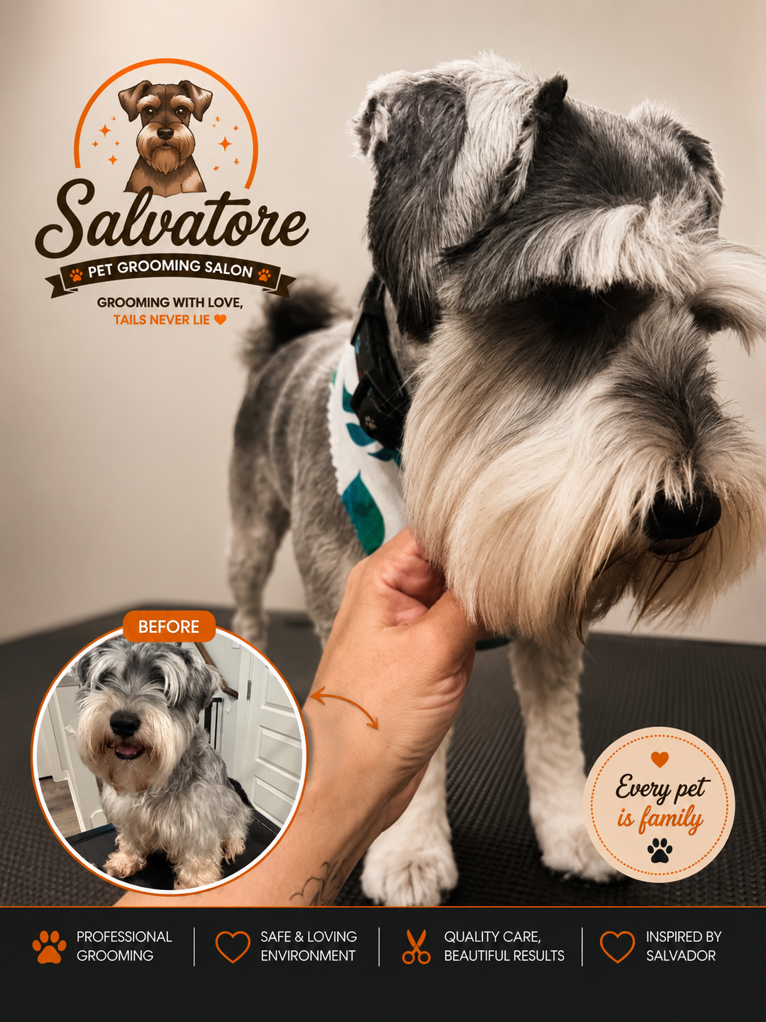 Freshly groomed pet posing at the salon